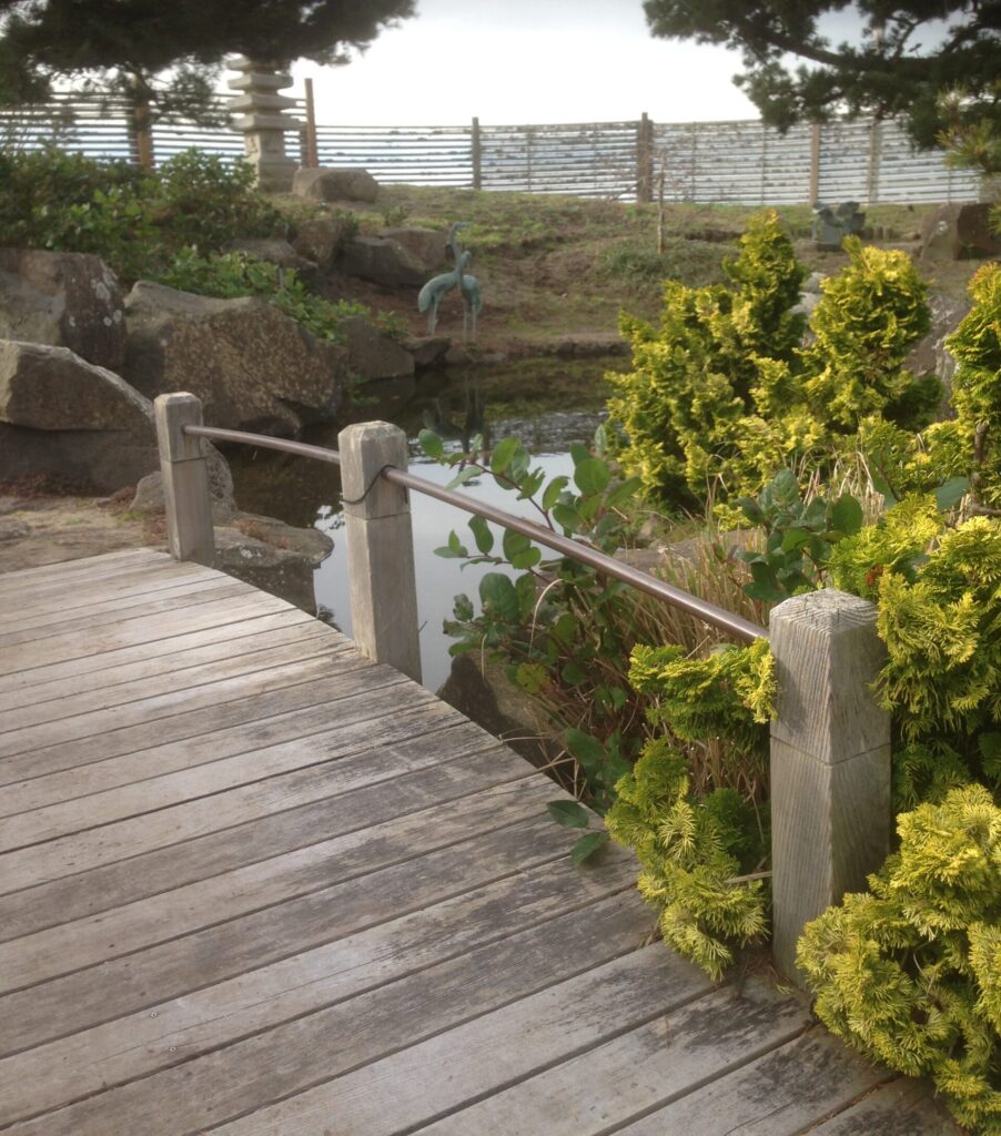 Custom Zen garden pond in Cannon Beach OR