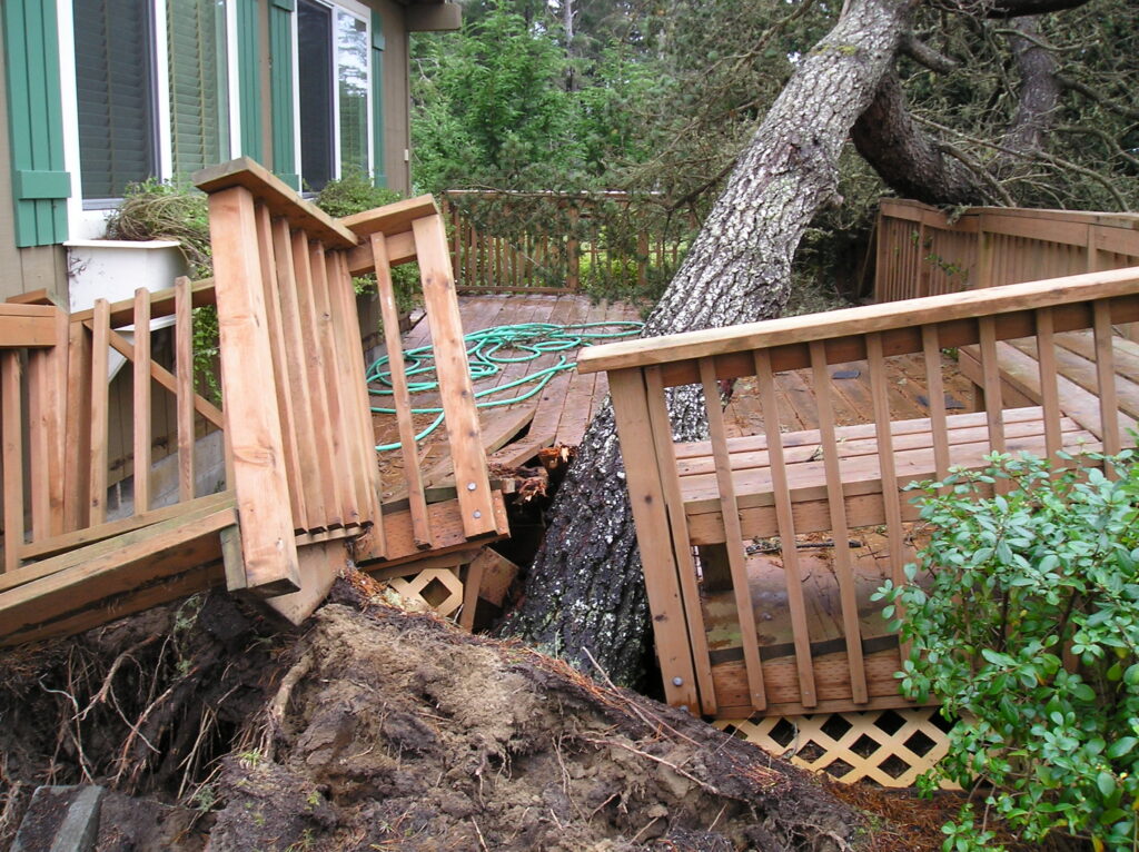 Storm-damaged tree fallen across a residential structure before removal